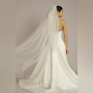 David's Bridal two tier raw-edge chapel-length veil